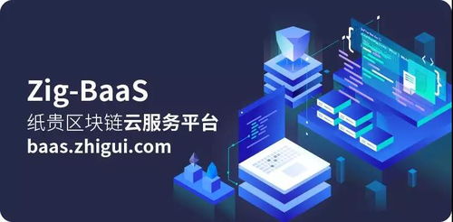 Zig Baas開啟IPFS定制化服務(wù)與新材技術(shù)推廣，賦能企業(yè)創(chuàng)新未來